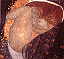 DANAE - Gustave KLIMT